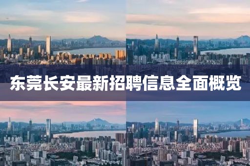 东莞长安最新招聘信息全面概览