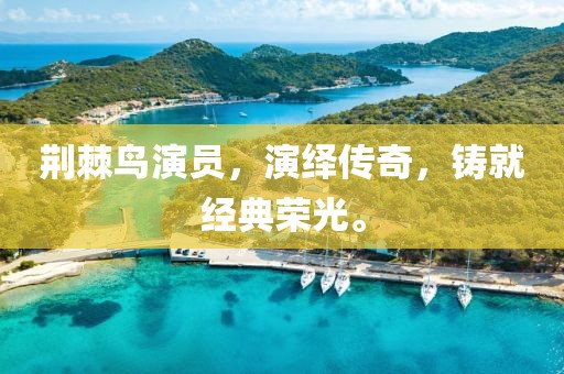 荆棘鸟演员，演绎传奇，铸就经典荣光。