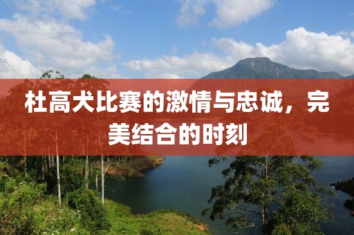 碎碎念 第8页