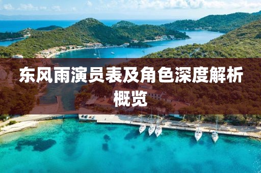 东风雨演员表及角色深度解析概览