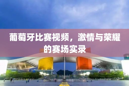 葡萄牙比赛视频，激情与荣耀的赛场实录