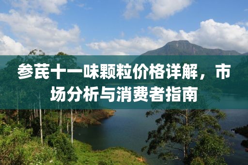 参芪十一味颗粒价格详解，市场分析与消费者指南