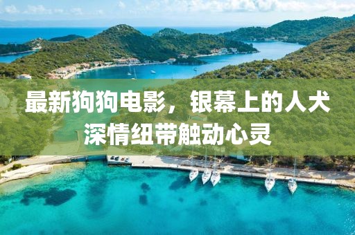 最新狗狗电影，银幕上的人犬深情纽带触动心灵