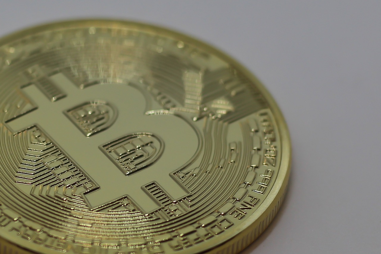 最新猪肉价格动态分析与趋势预测