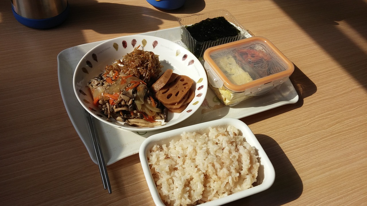 最新便携餐盒，革新餐饮体验与环保生活的完美结合