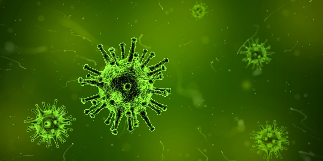 最新分离微生物菌株研究及其应用领域探索