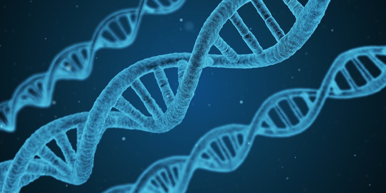 健帆生物上市，引领医疗科技新篇章，开启生物科技新篇章