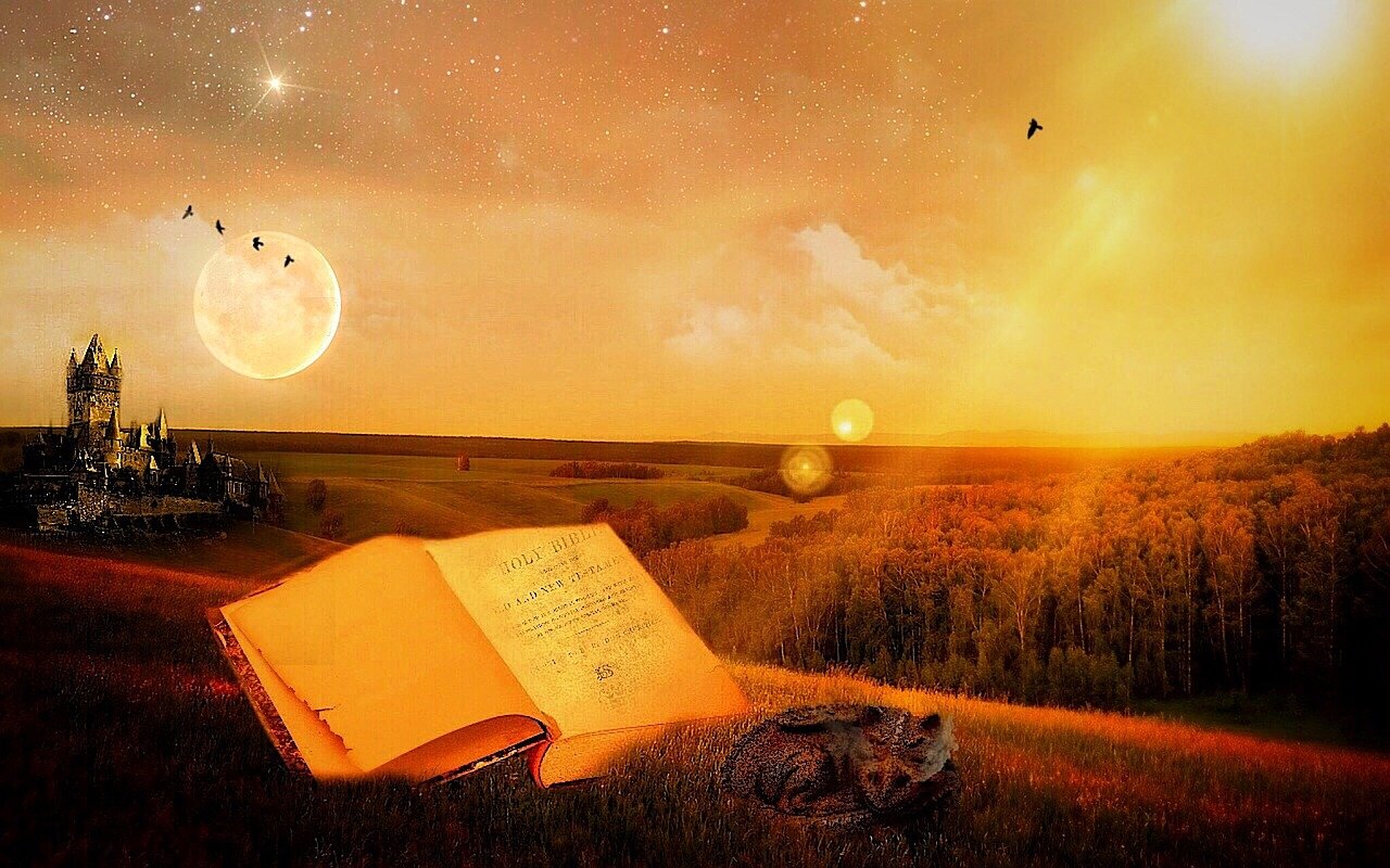 探索明星背后的故事，揭开光芒的神秘面纱