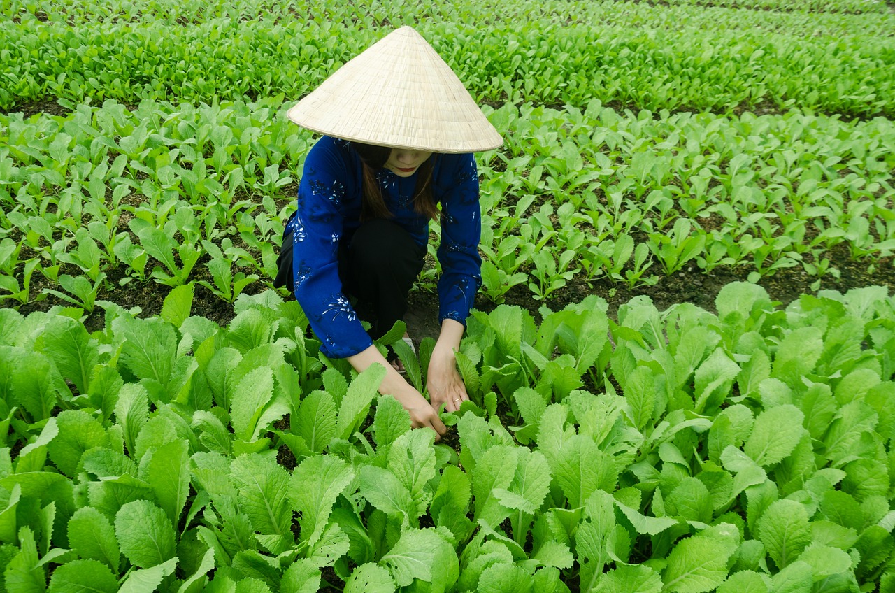王俊凯与王源最新动态揭秘，探寻他们的最新发展动态