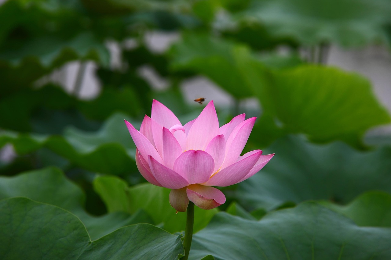 漪银玄海 第5页