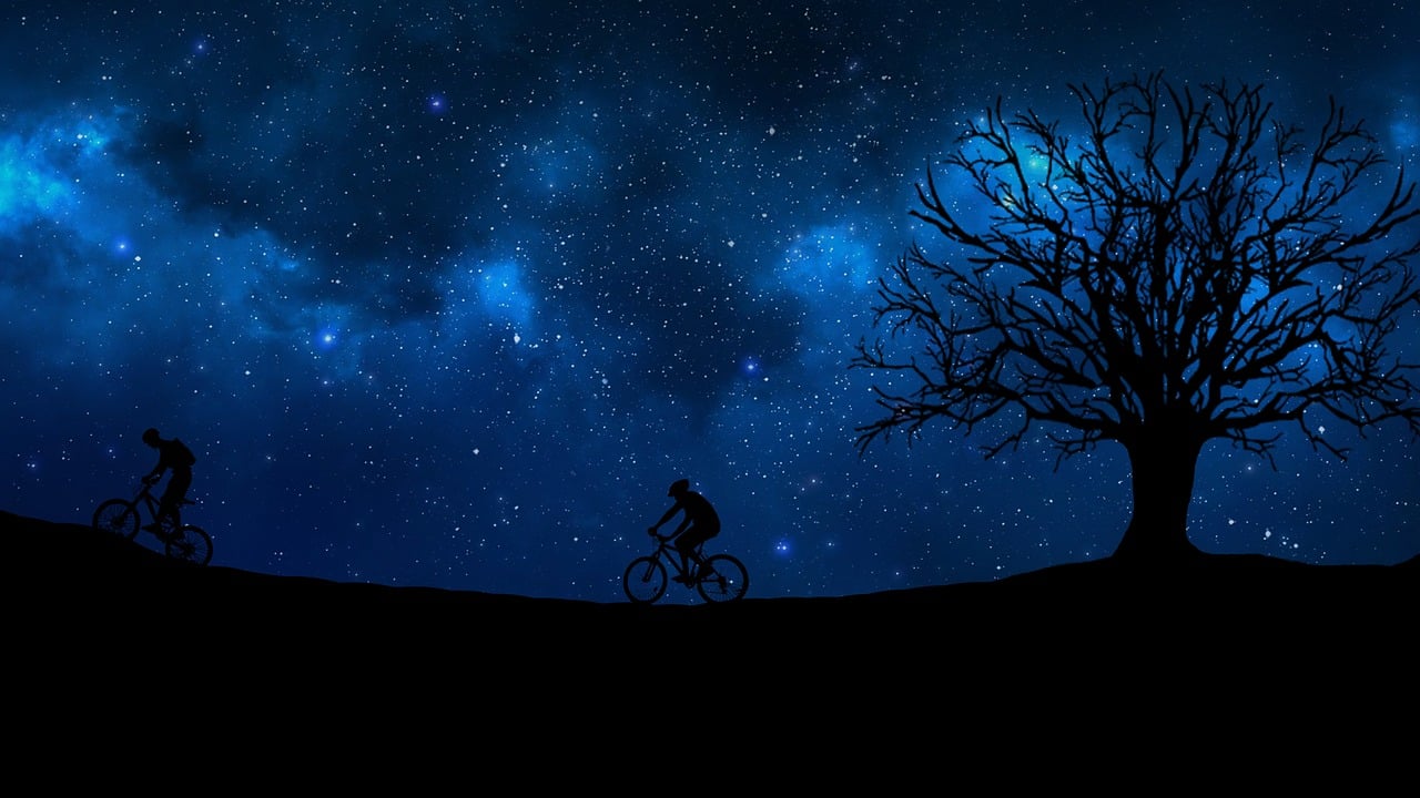 璀璨明星，闪耀之光照亮全球舞台