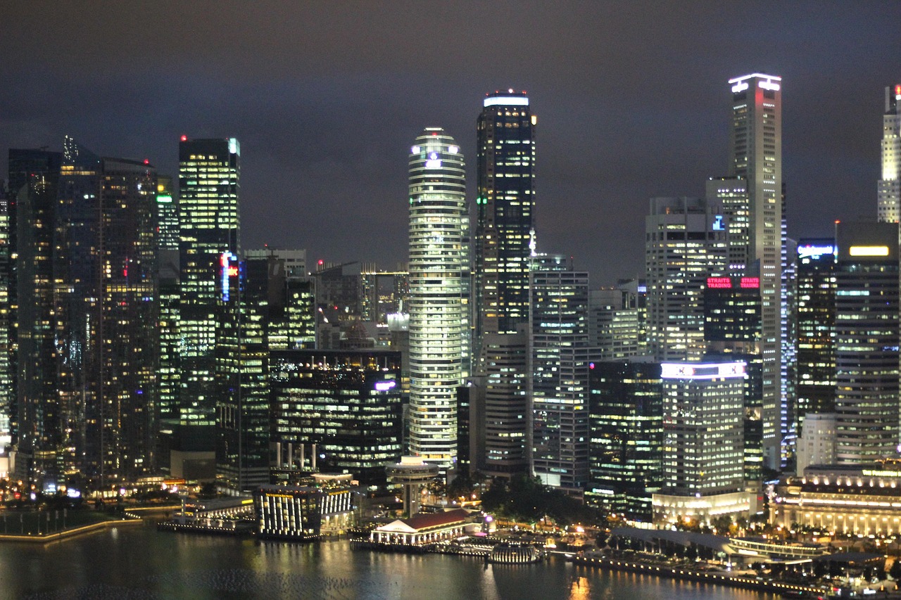 上海最新城市地图揭秘繁华都市新面貌