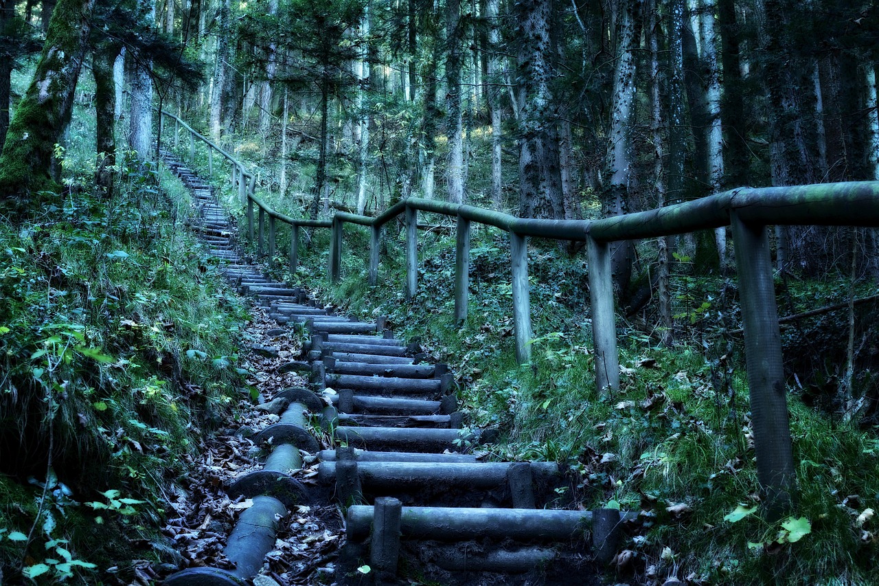揭秘千年神秘遗迹，探险之旅开启，揭开未知秘密的大门