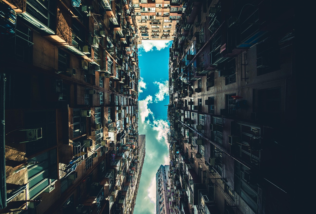 超越竞技场，智慧与力量的无赛展现