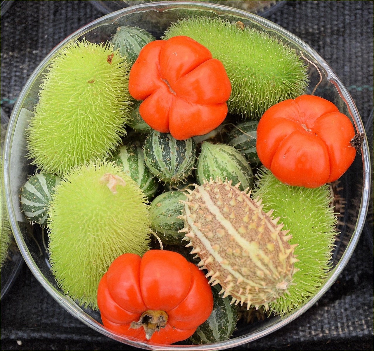 落泪玫瑰 第3页