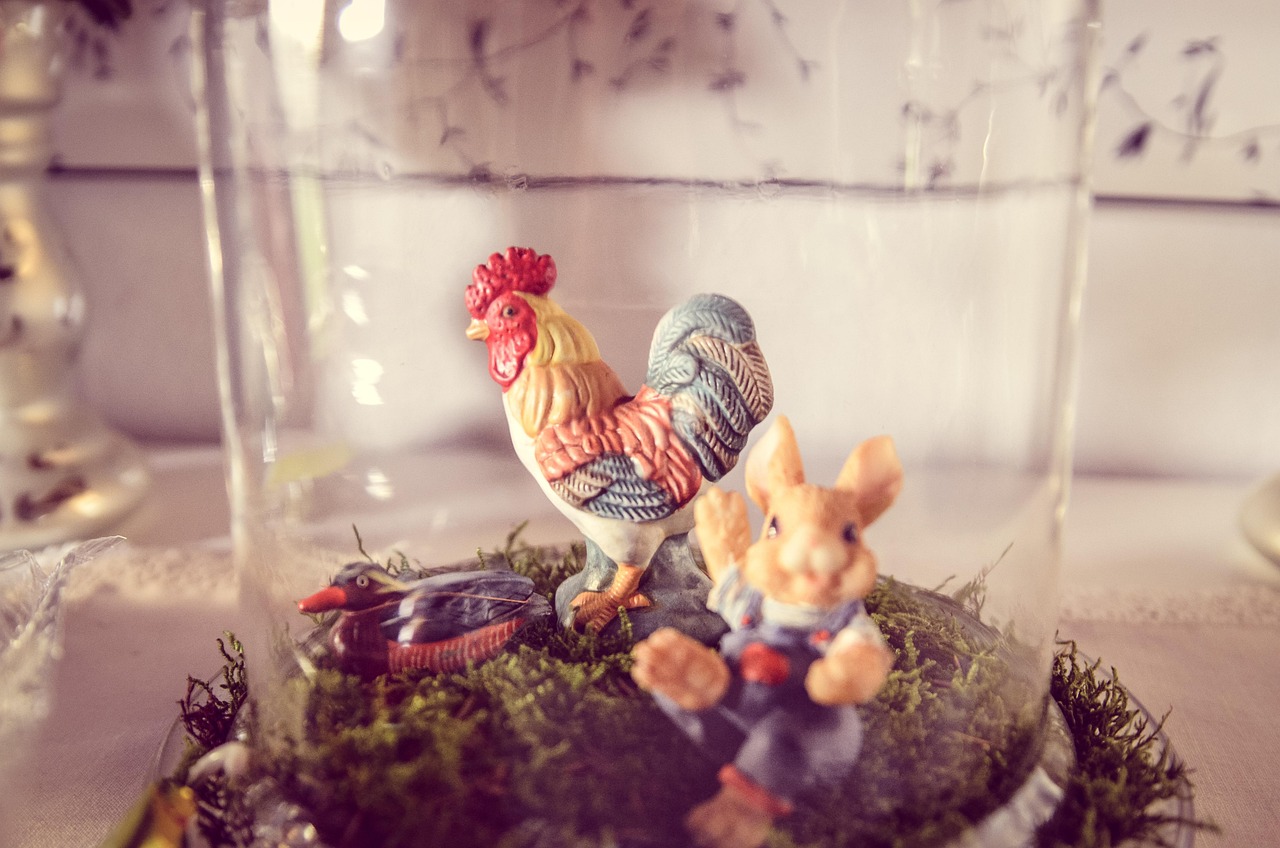 挂鸡比赛，一场别开生面的竞技盛宴，展现独特魅力的竞技挑战
