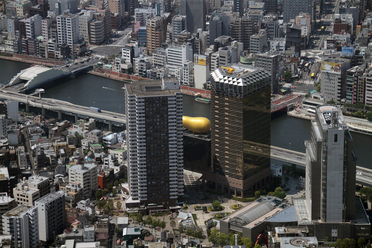陕西省镇安县最新城市规划，塑造未来城市新面貌新篇章