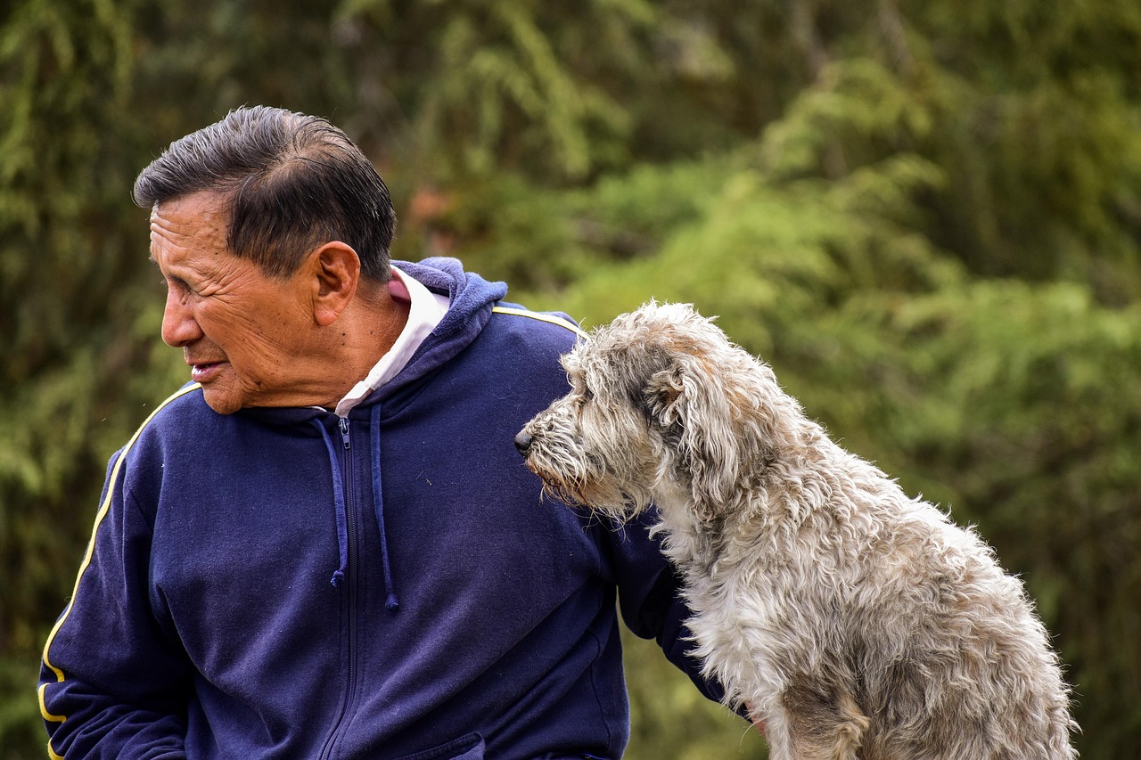 马匹价格与行情深度解析