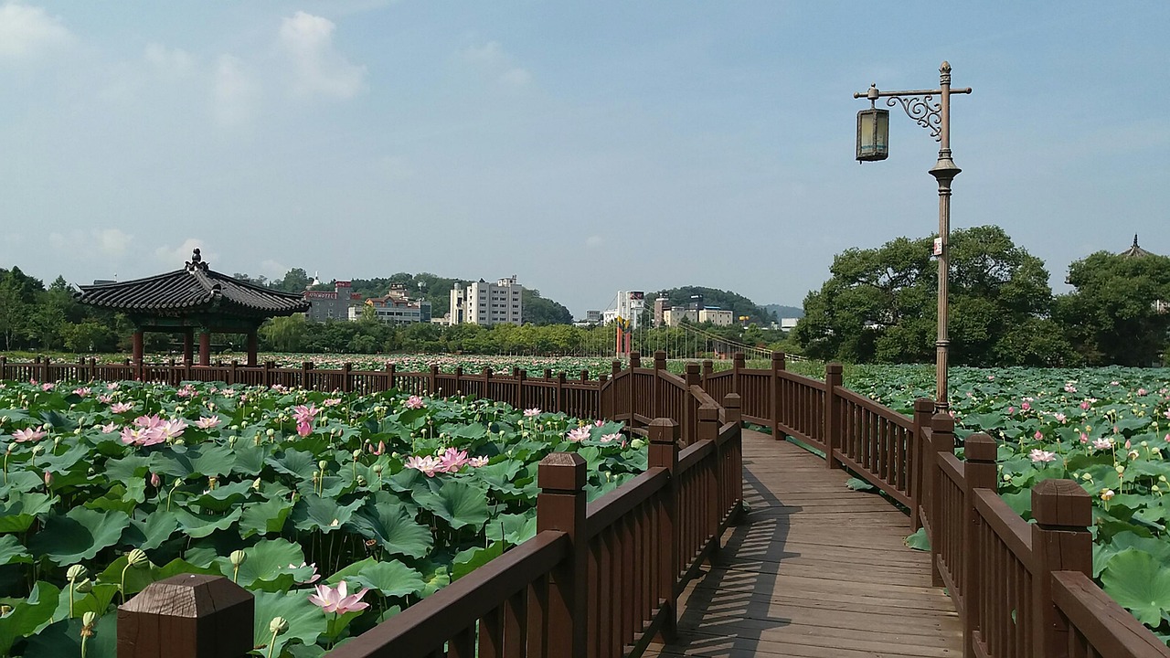 绿色生态智能城市公园，最新开放的城市绿洲