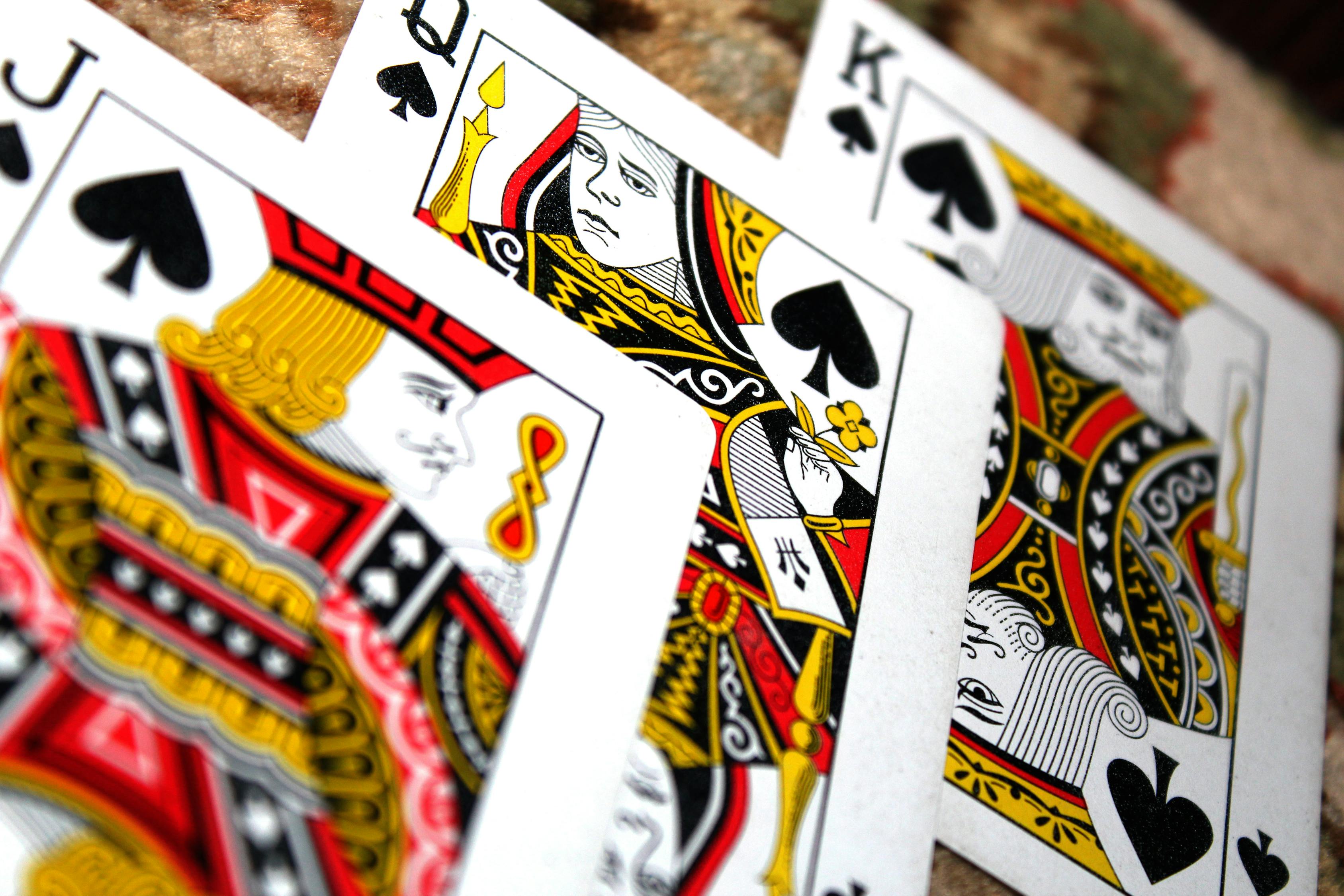 泰拉瑞亚最新版本下载攻略与体验分享，游戏下载及体验详解