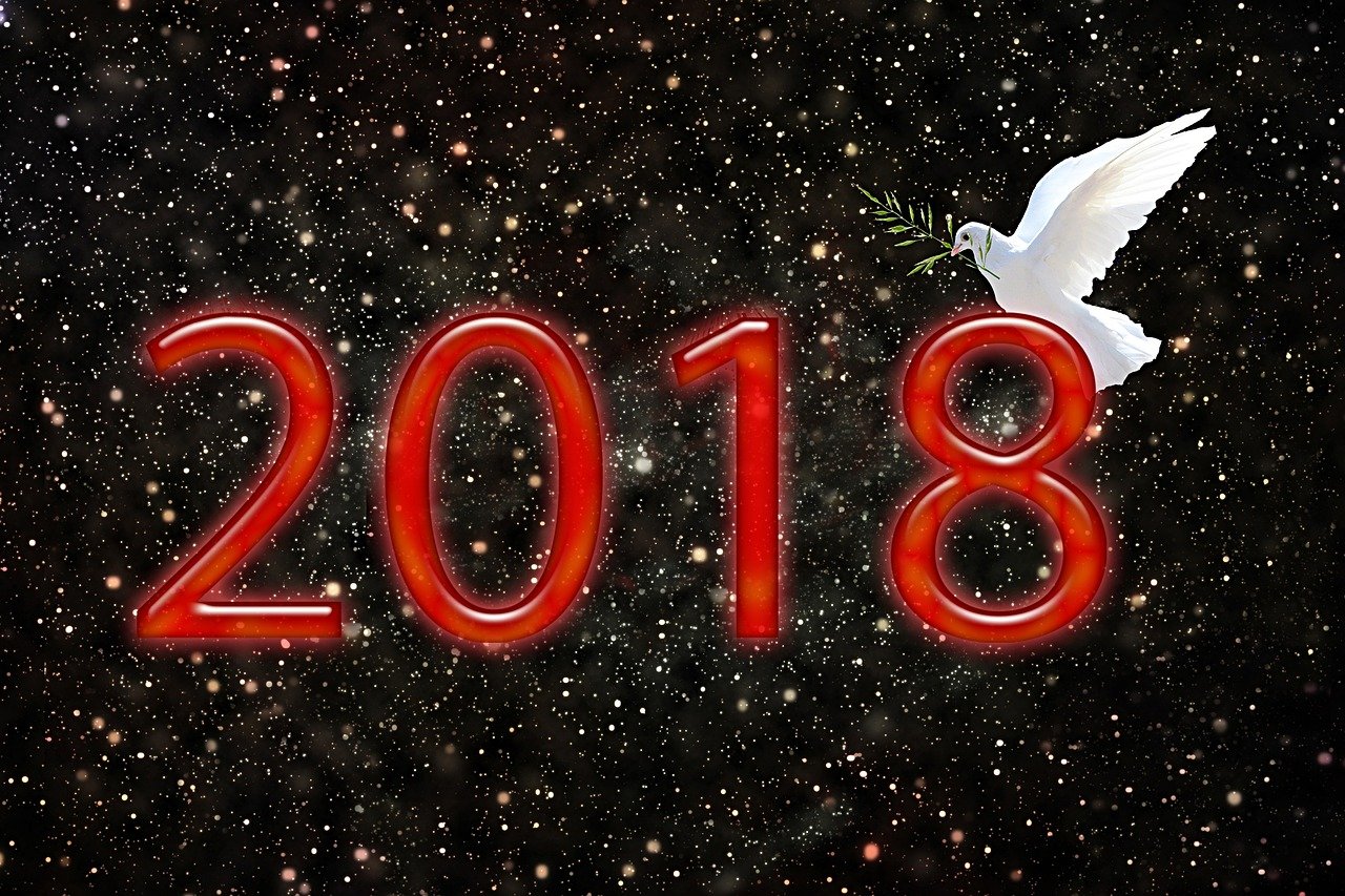 崔雪莉最新动态,娱乐圈的新篇章闪耀之星