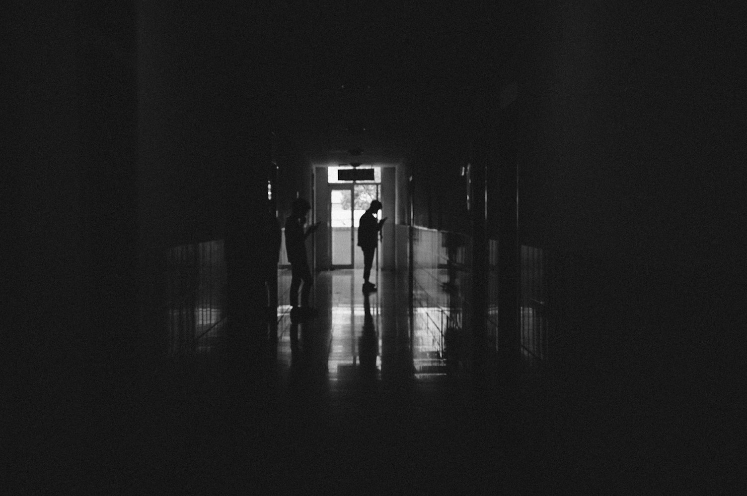 仪陇县金城镇,新城崛起的最新动态与蓬勃发展之路