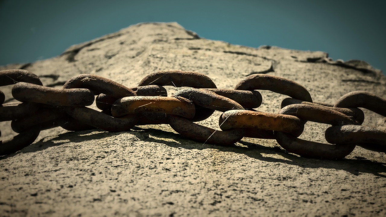 国统股份引领行业变革，持续推动高质量发展，最新动态速递