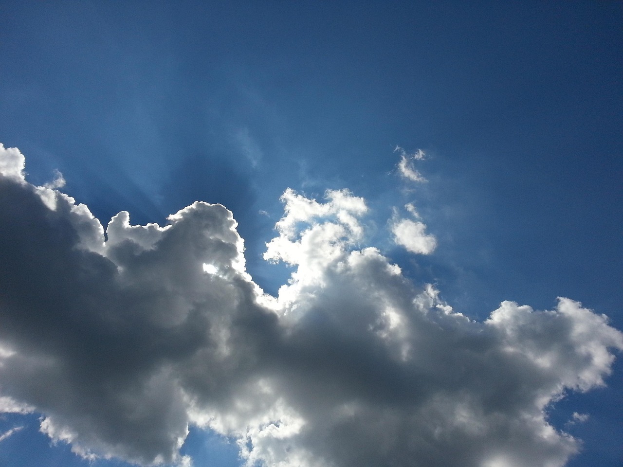 中海地产最新动态深度解析