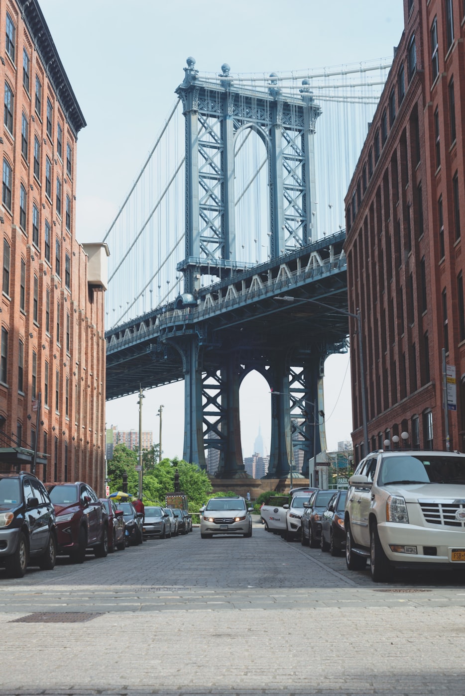 智飞生物股票动态解析,市场走势与前景展望