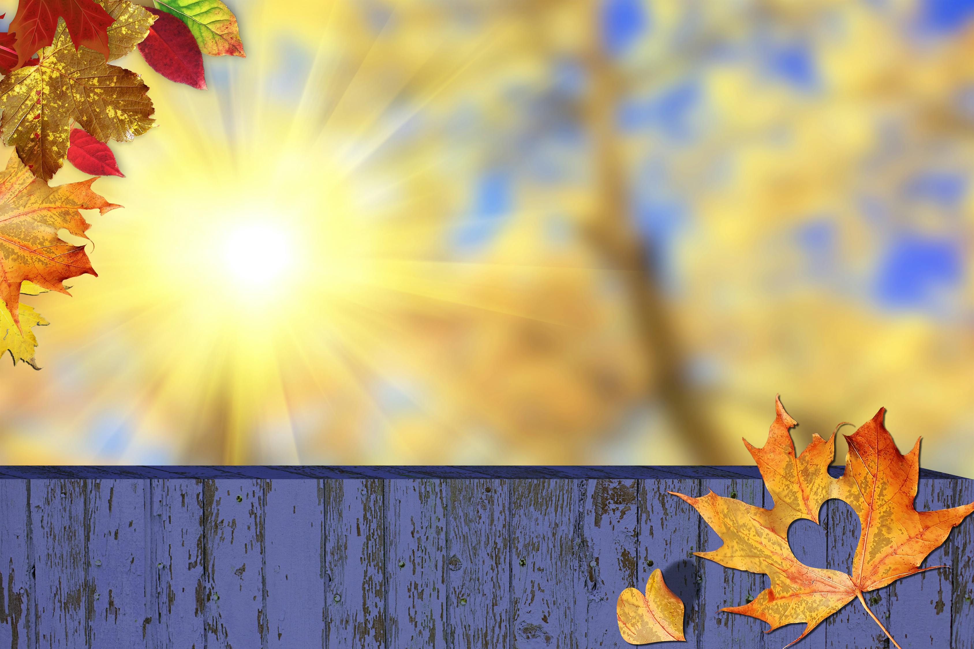 最新动态壁纸，为桌面注入生命力与个性化魅力