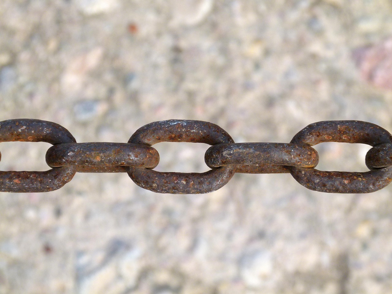 济南汽油价格最新动态及分析