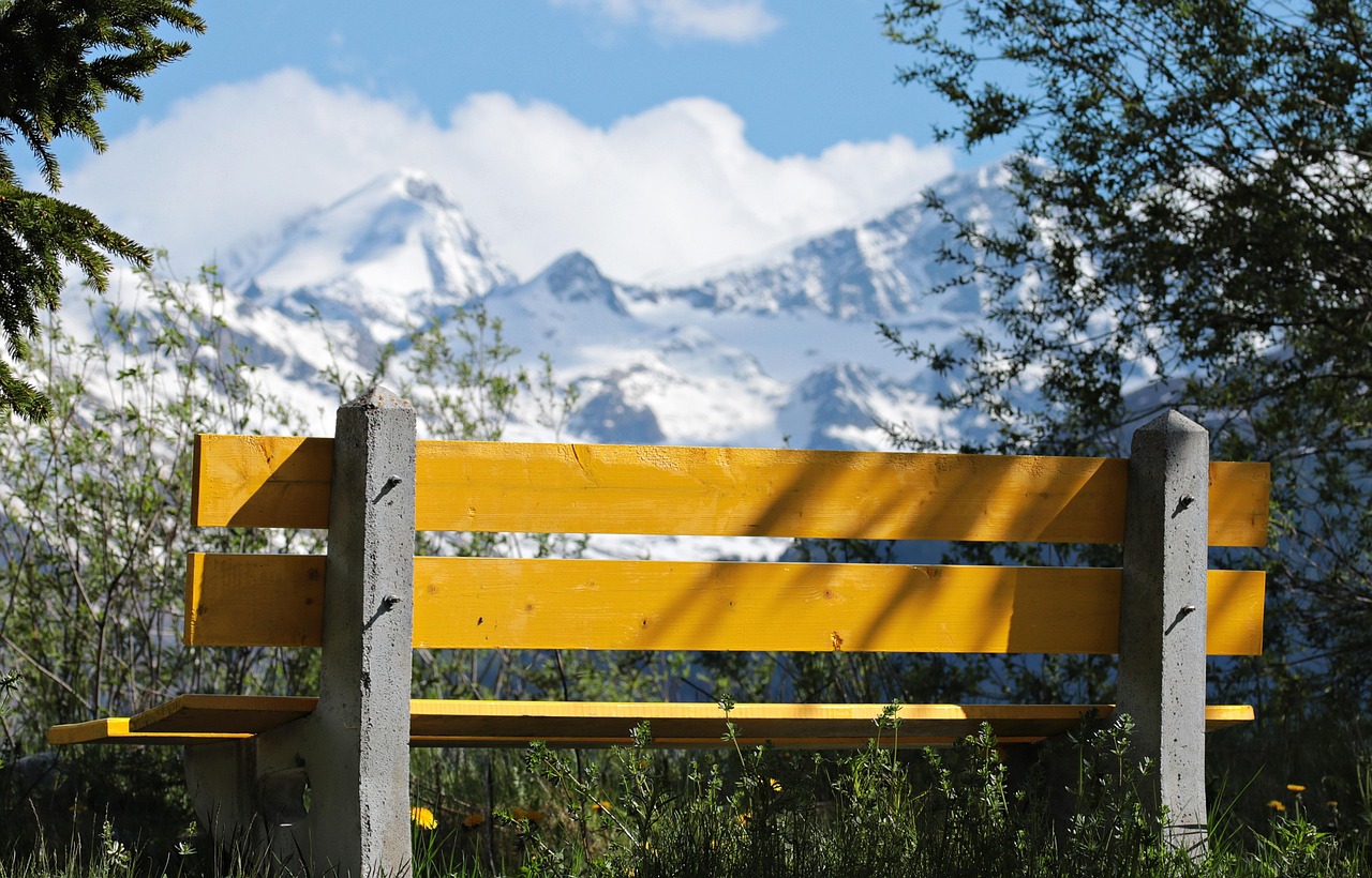 临洮大学建设最新进展与未来展望，更新动态揭秘