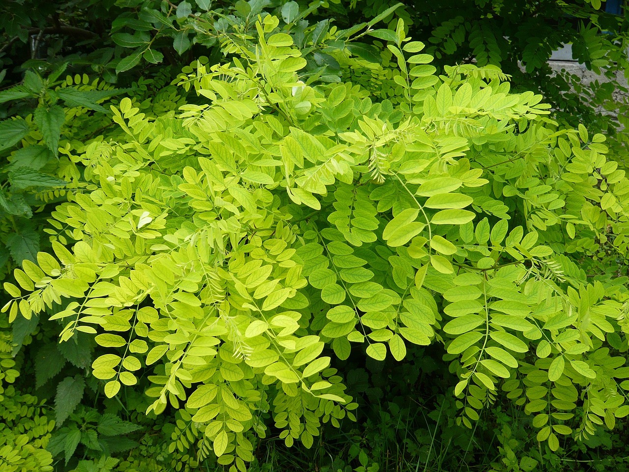 中海公园城最新动态,开启城市绿色生活新篇章