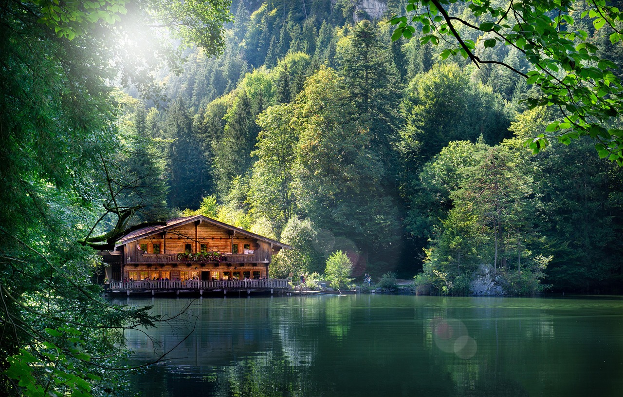 日本最新资讯概览,时事动态一网打尽