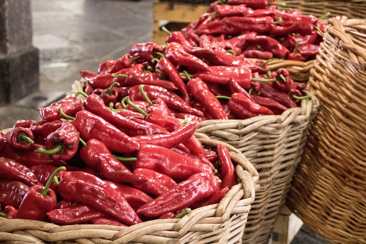 今日辣椒市场价格行情更新