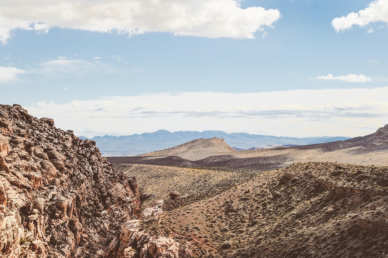 赵子庆最新动态揭秘,探索无限可能的旅程
