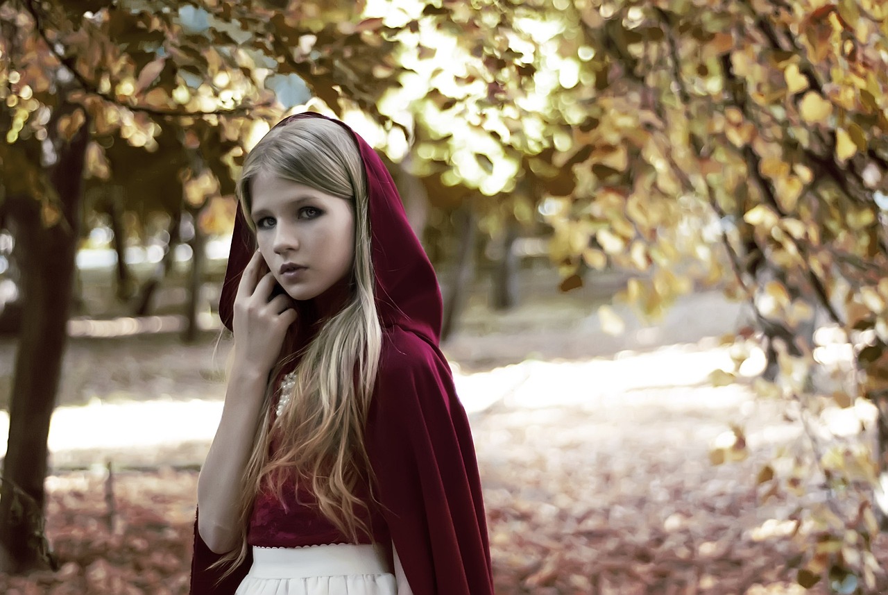 盛夏冷肆，炙热世界中的独特故事最新章节汇总