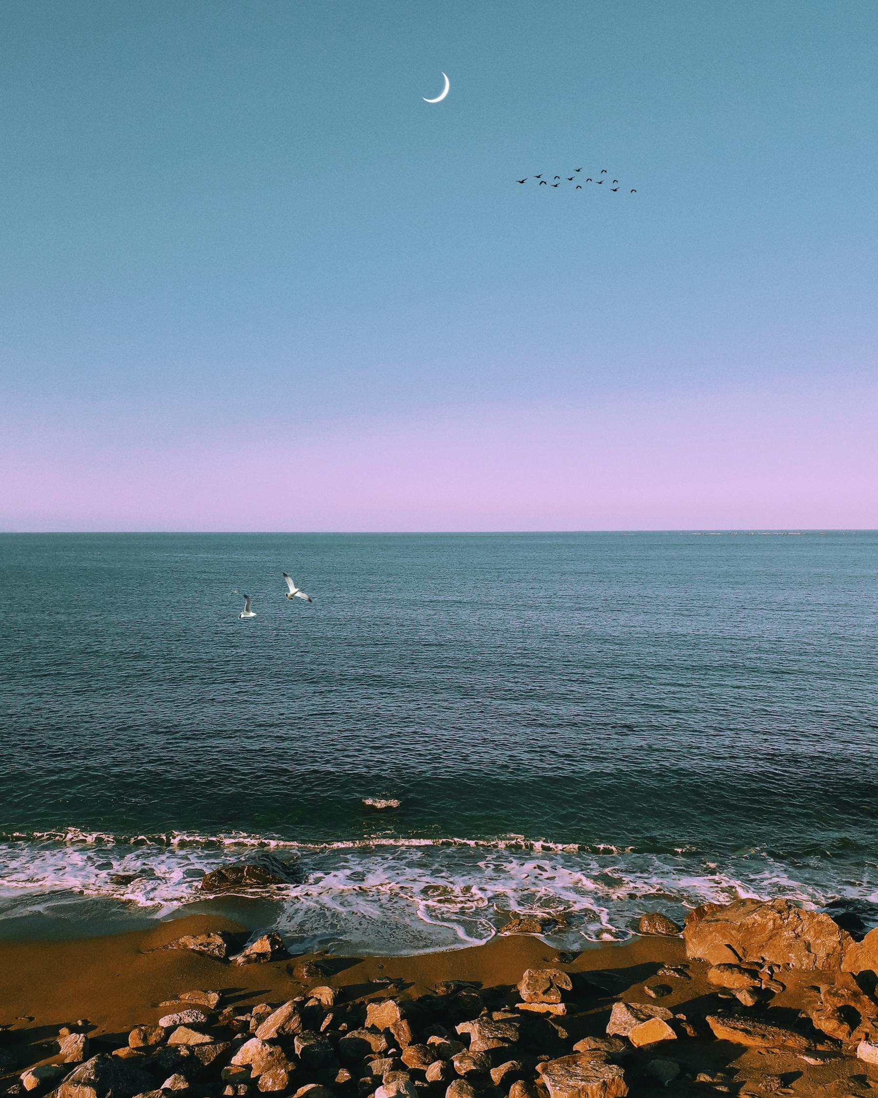 万达西安ONE最新动态，引领城市发展的璀璨明珠揭秘！