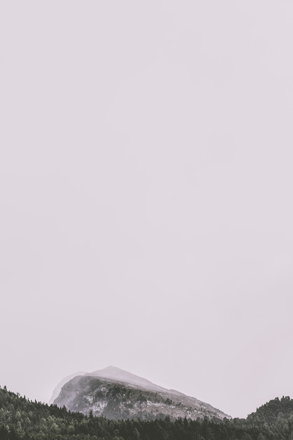 童子最新动态揭秘，探索未知，展现无限潜力