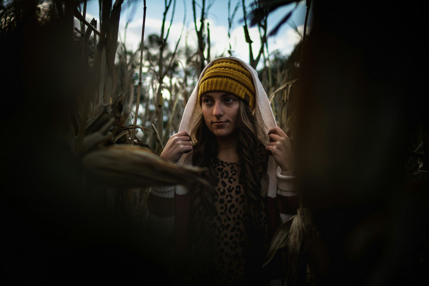 三人动漫图片,魅力展现与创作解析