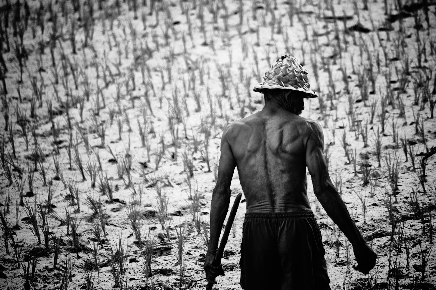 拿开你的手,电影中的情感与冲突探微