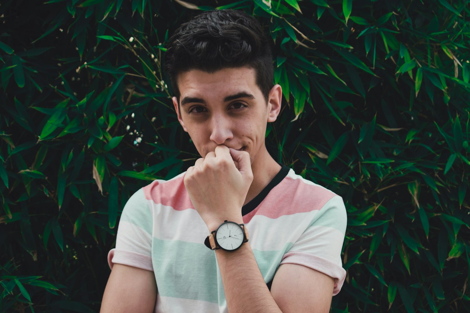 刘树演员,演艺之路的闪耀之星