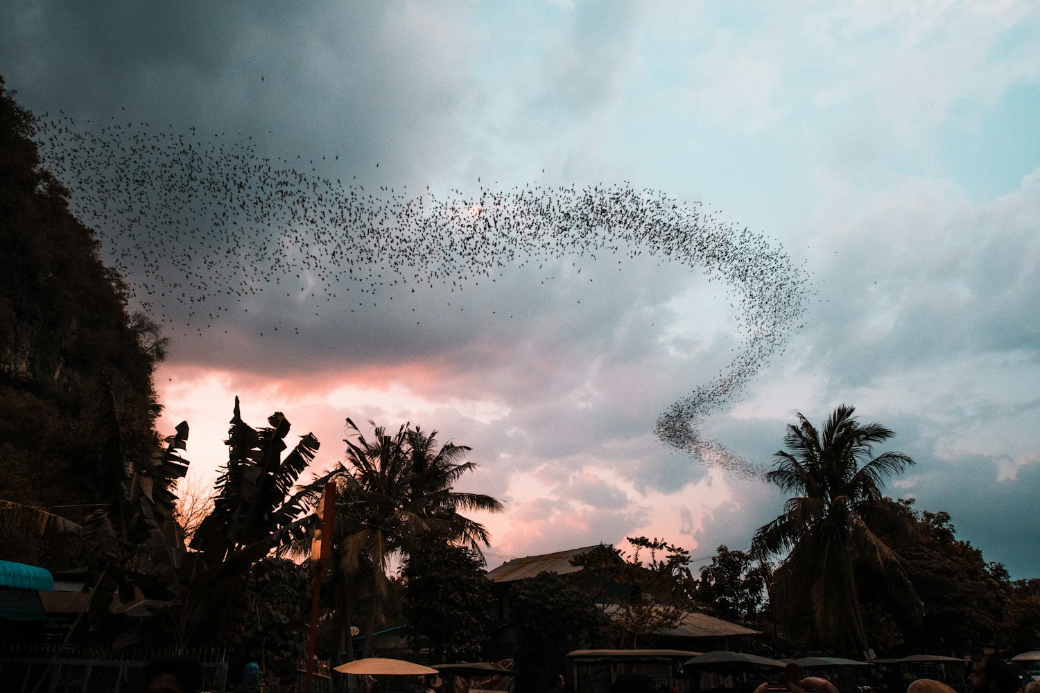 文娱良心最新章节,探索精神与创作激情的交融之旅