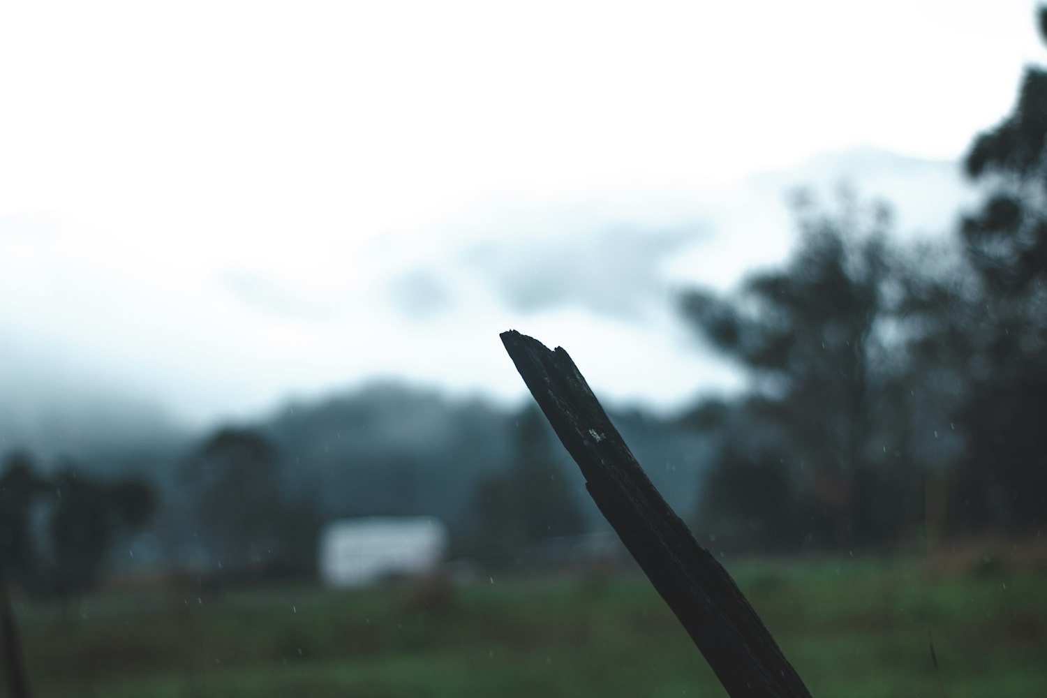 文娱良心最新章节,探索精神与创作激情的交融之旅