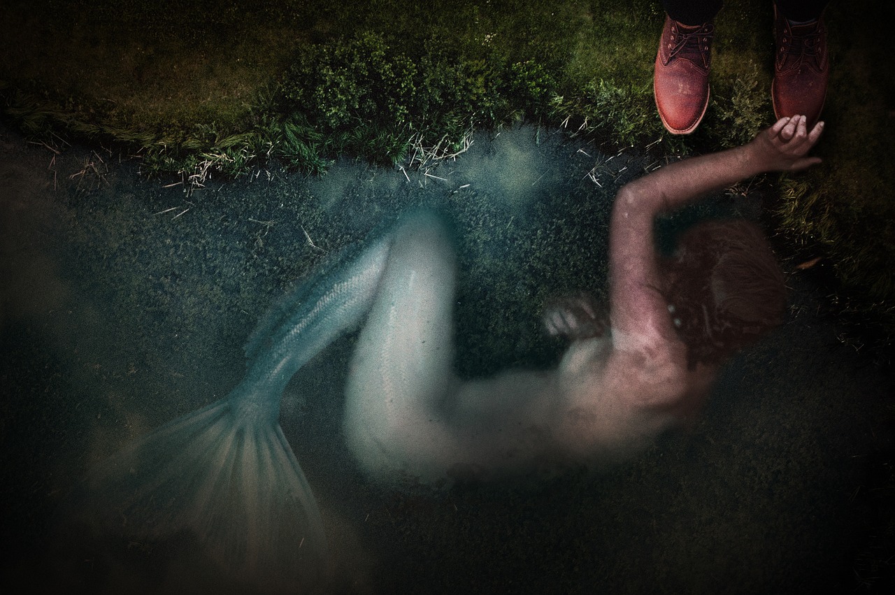 动漫人鱼,跨越次元的神秘魅力探索