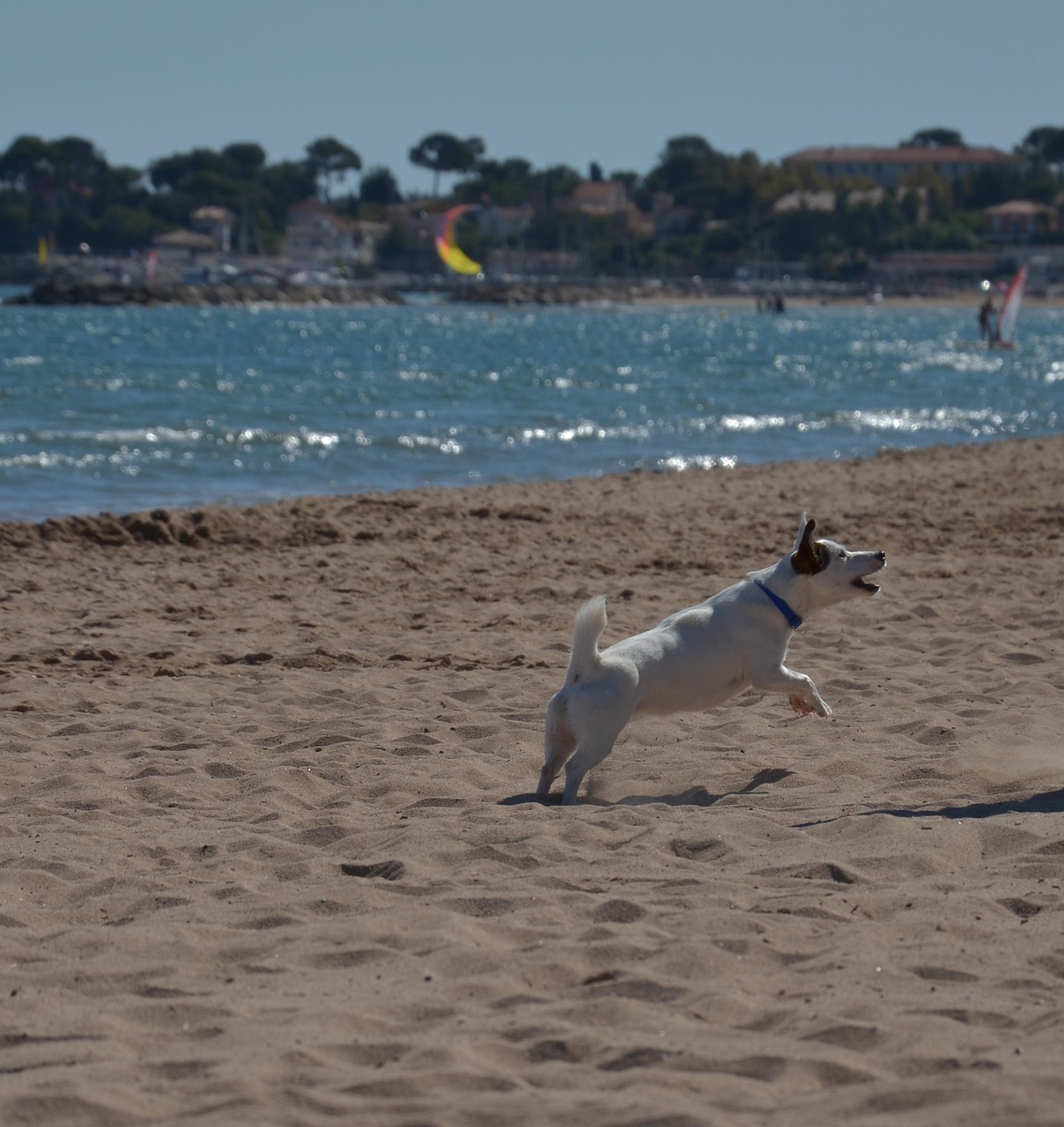 斗地主最新动态与玩法更新概览