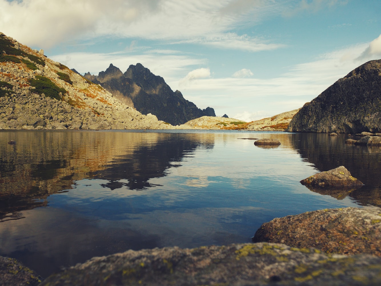 素颜明星真实照片,展现自然之美,揭示真实面貌