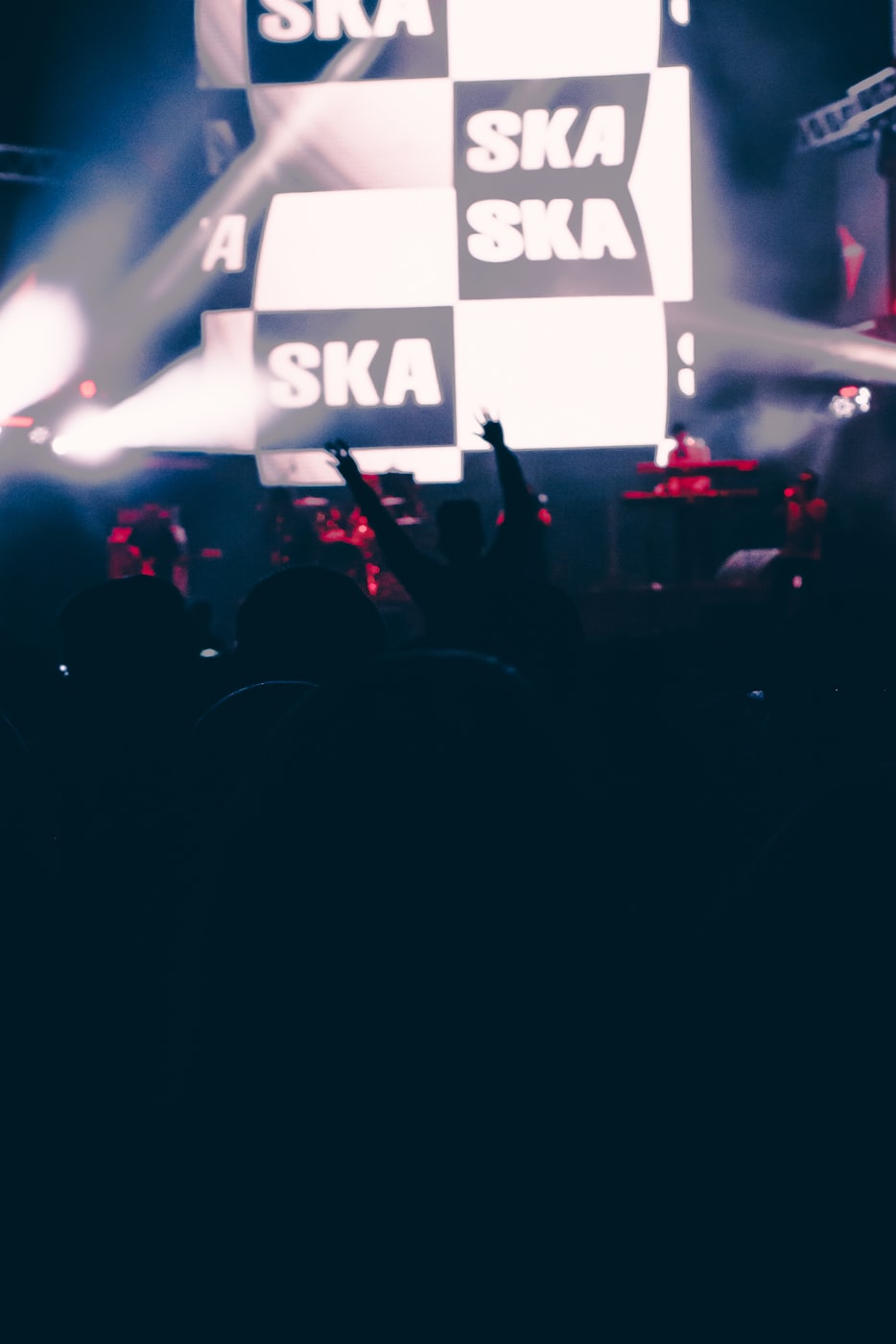 三叶草明星,绿色中的无尽魅力与闪耀之光