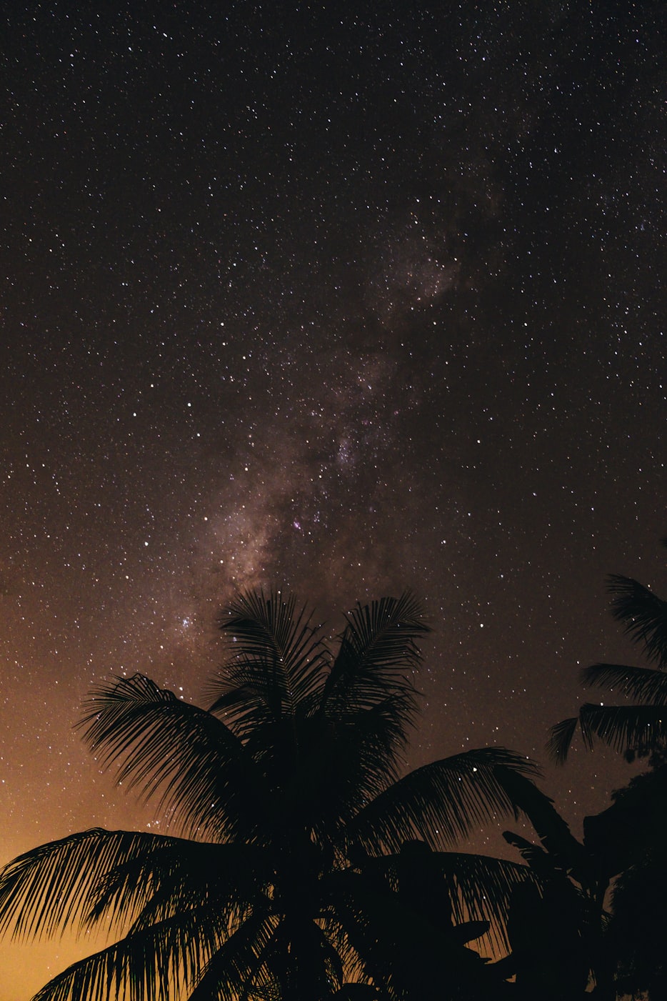 明星仙女,璀璨星空的神秘魅力探秘