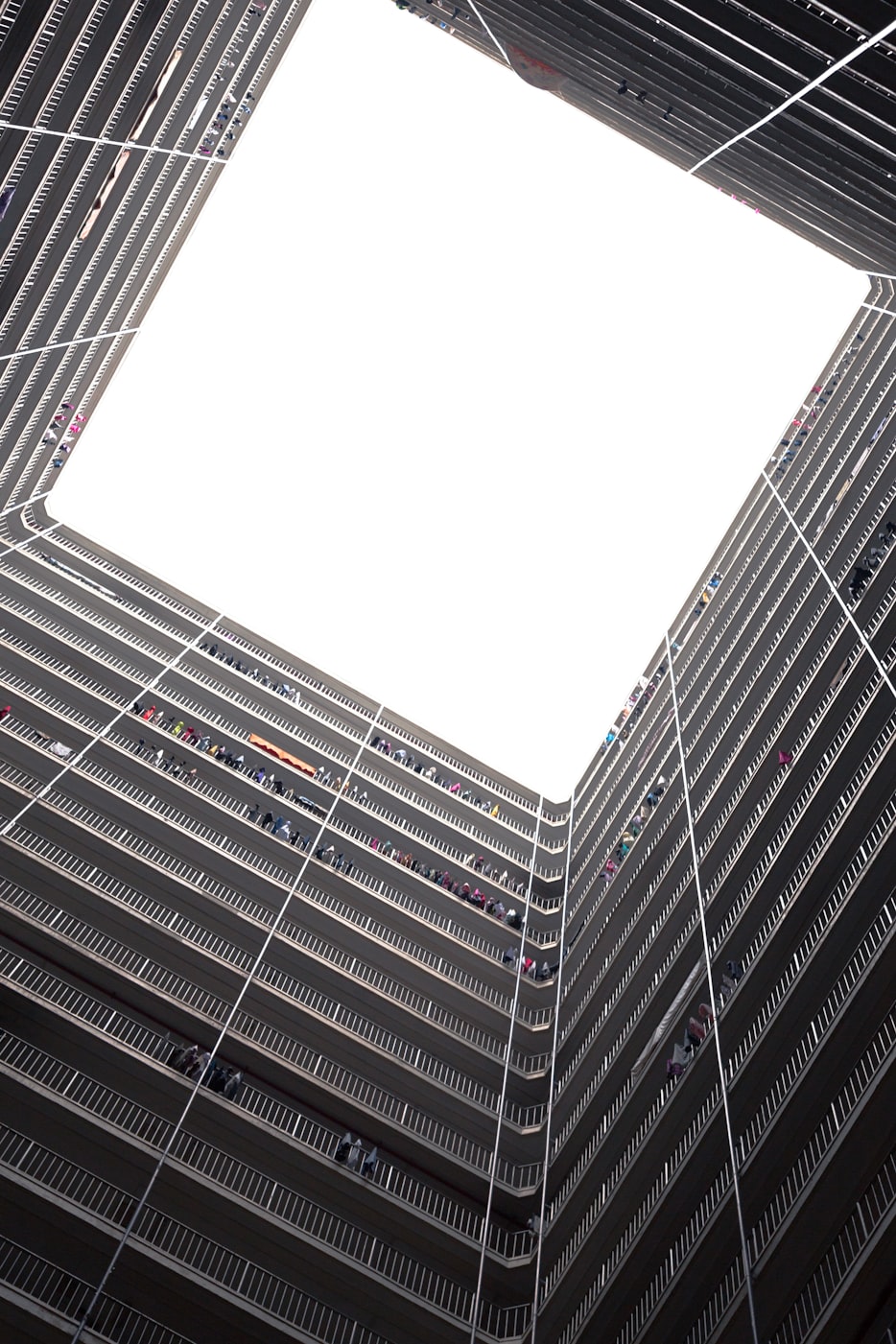 郑爽最新行程动态揭秘,忙碌行程引发粉丝热切期待